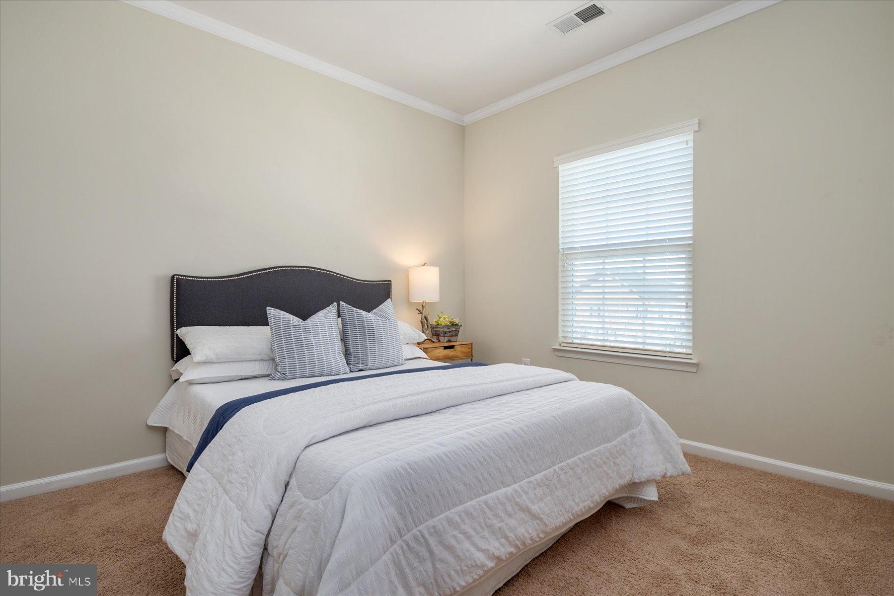 CLARKSBURG VILLAGE - Residential