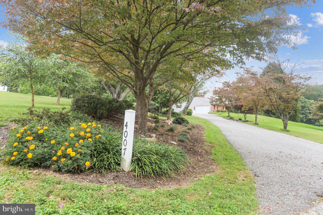 DANCE MILL - Residential