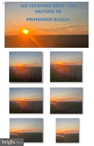 Lot# 39-1 SHORE DRIVE DRIVE TBB