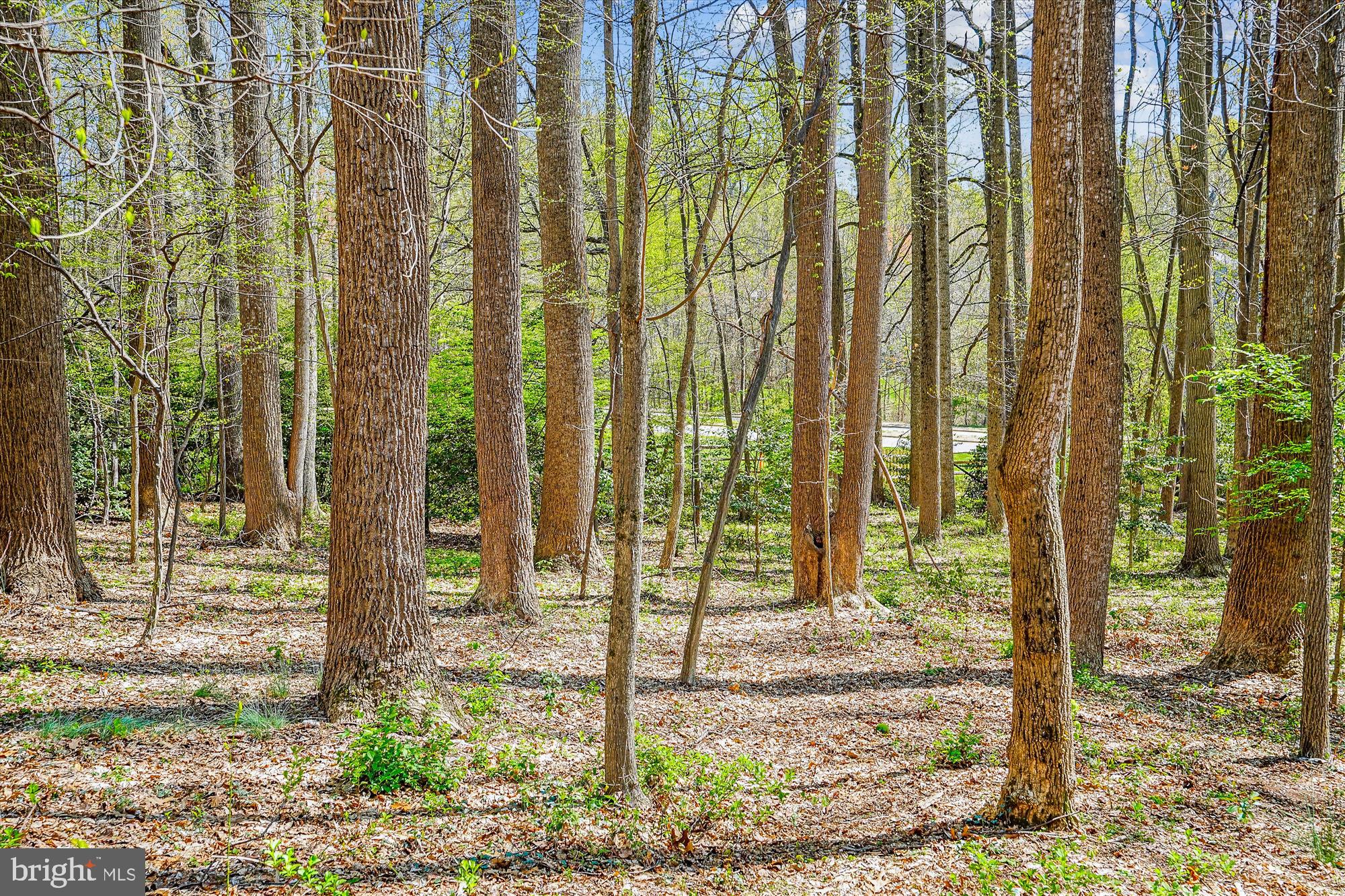 SHAKER WOODS - Residential
