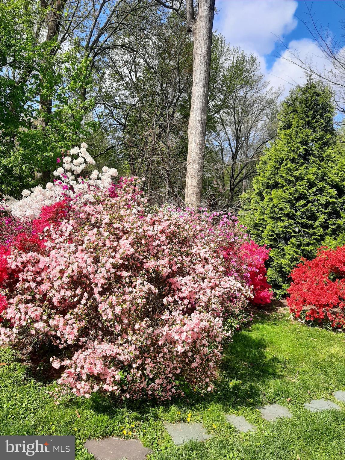 MANTUA HILLS - Residential