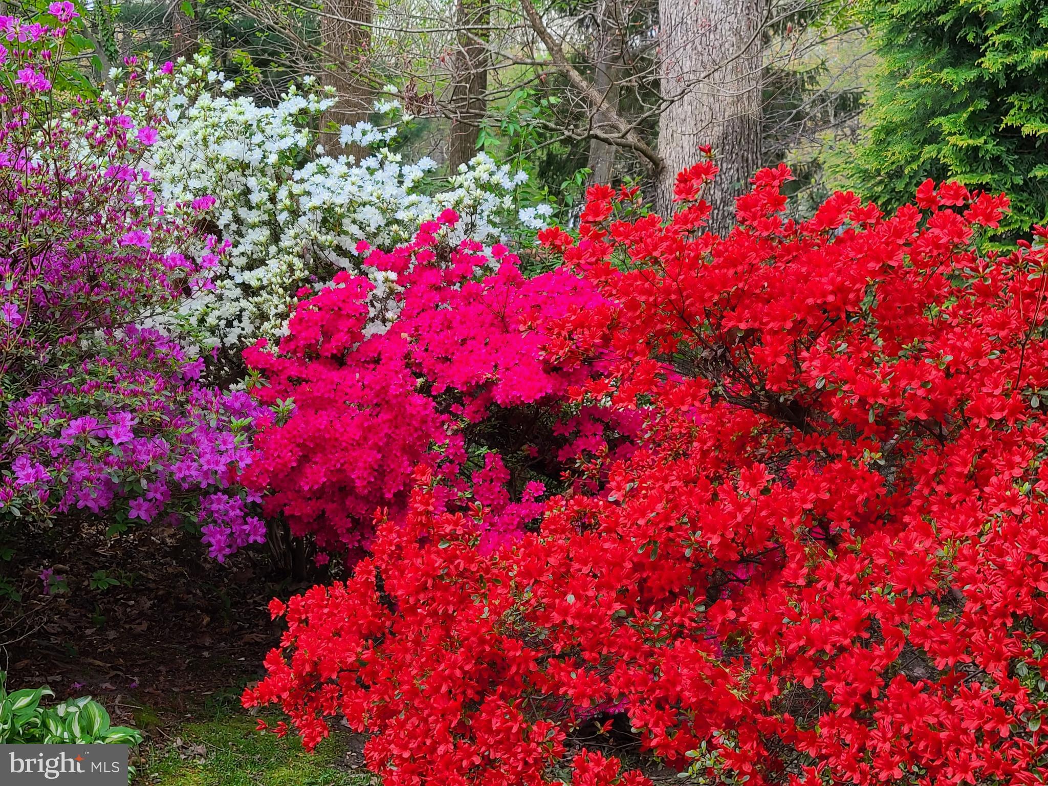 MANTUA HILLS - Residential