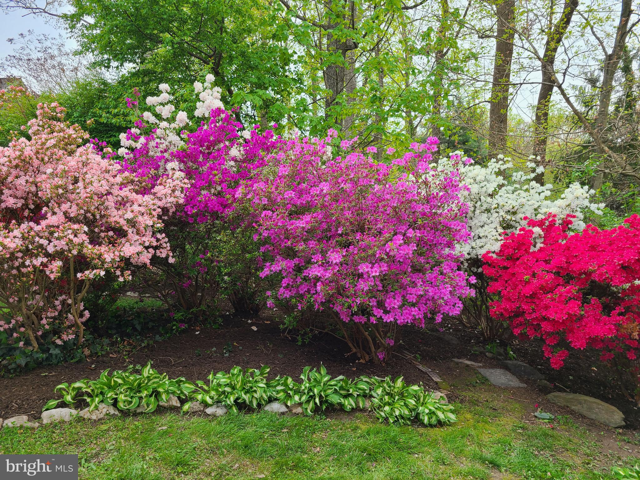 MANTUA HILLS - Residential