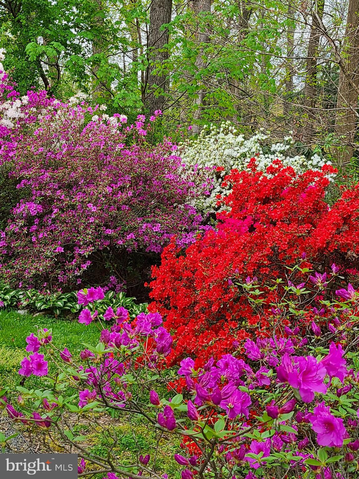 MANTUA HILLS - Residential