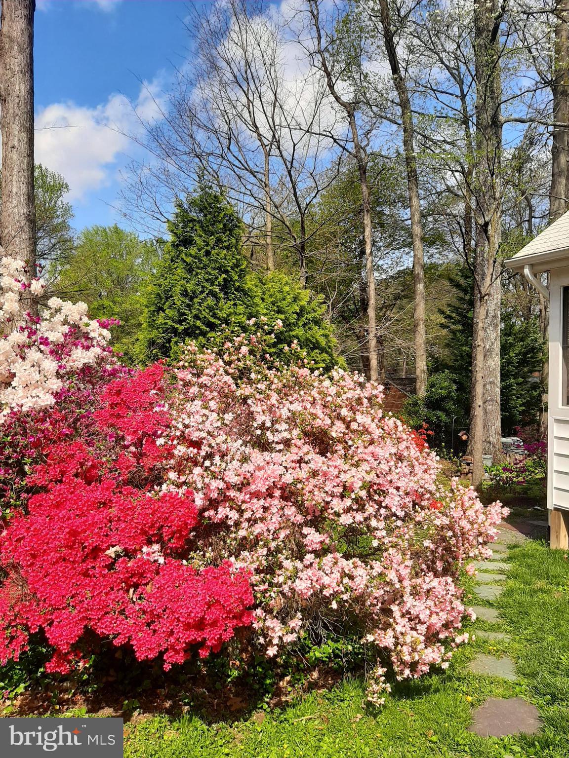 MANTUA HILLS - Residential