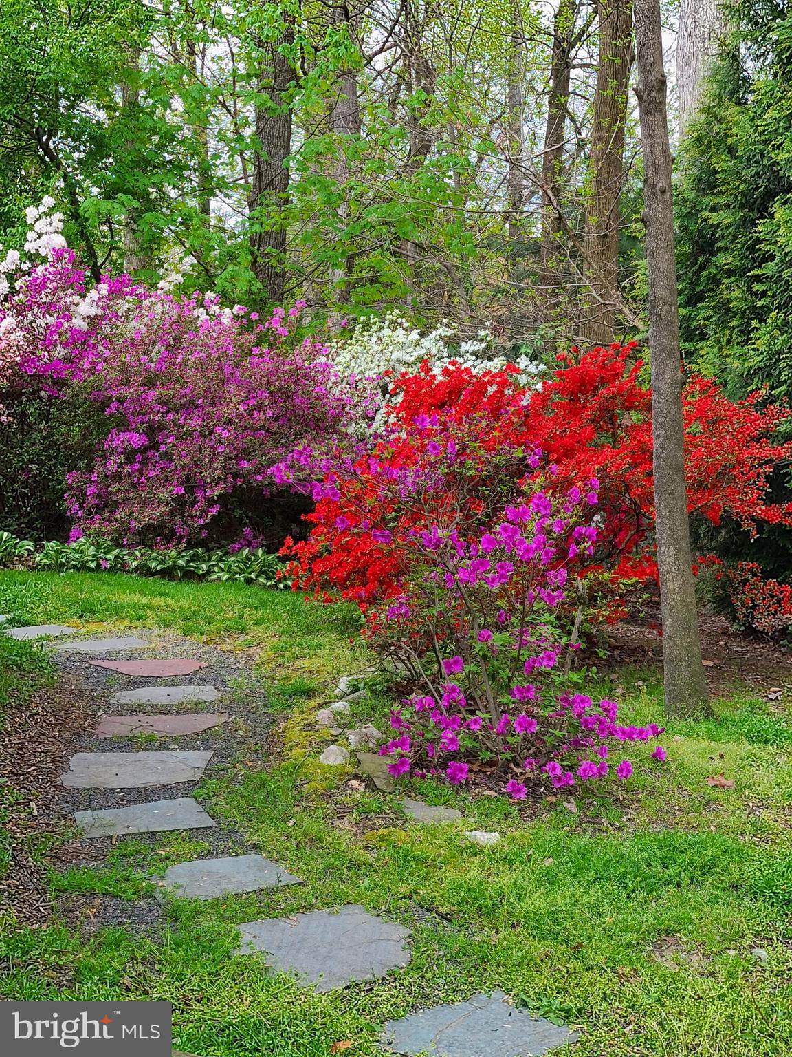 MANTUA HILLS - Residential