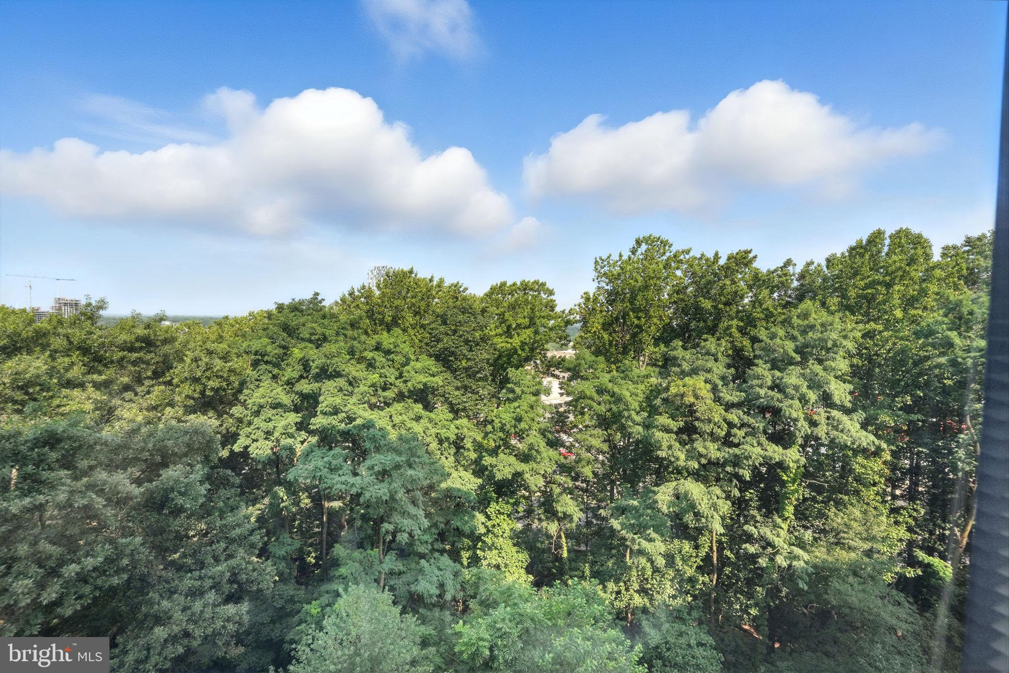 ROTONDA - Residential