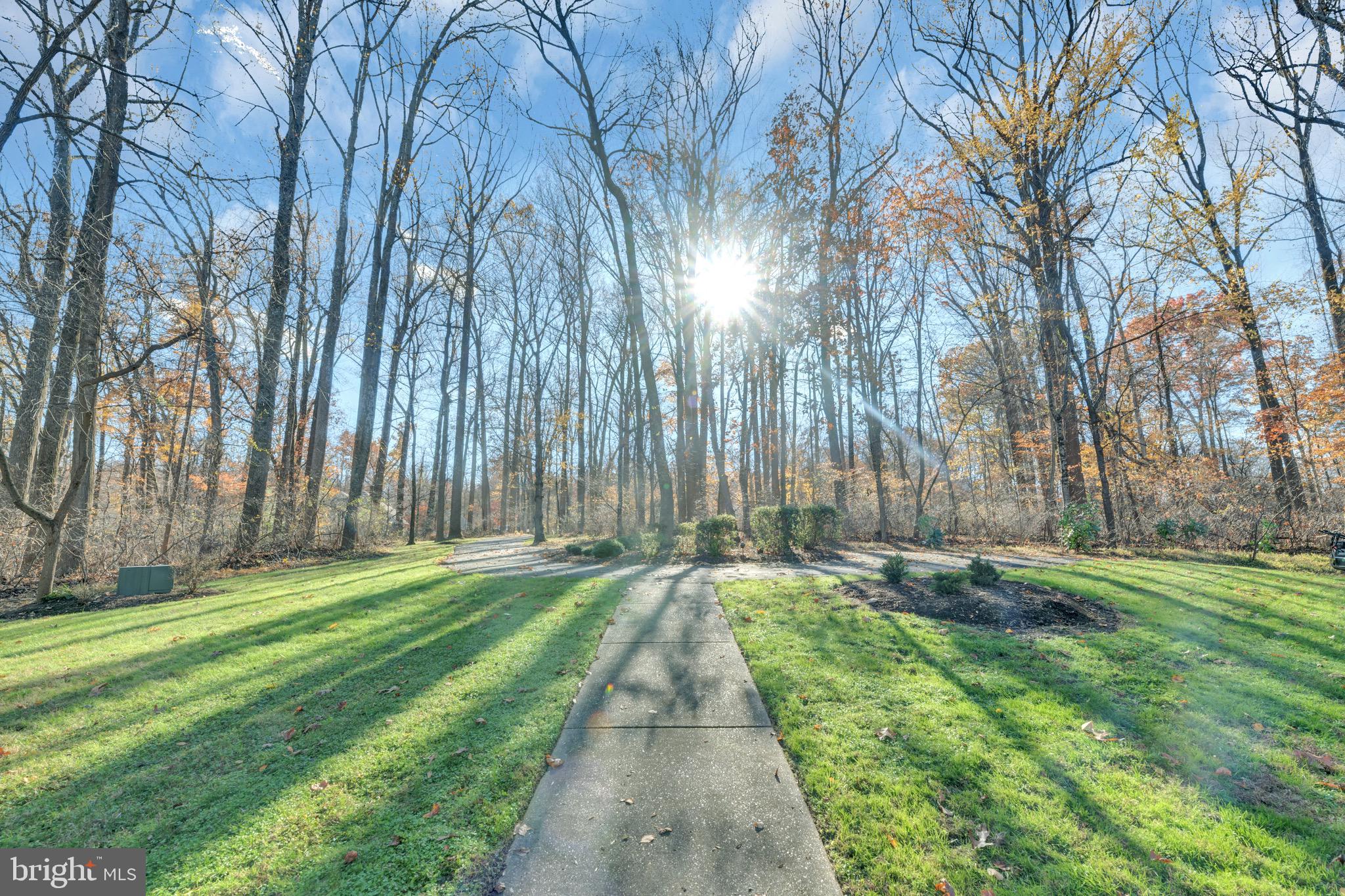 TRIADELPHIA WOODS - Residential