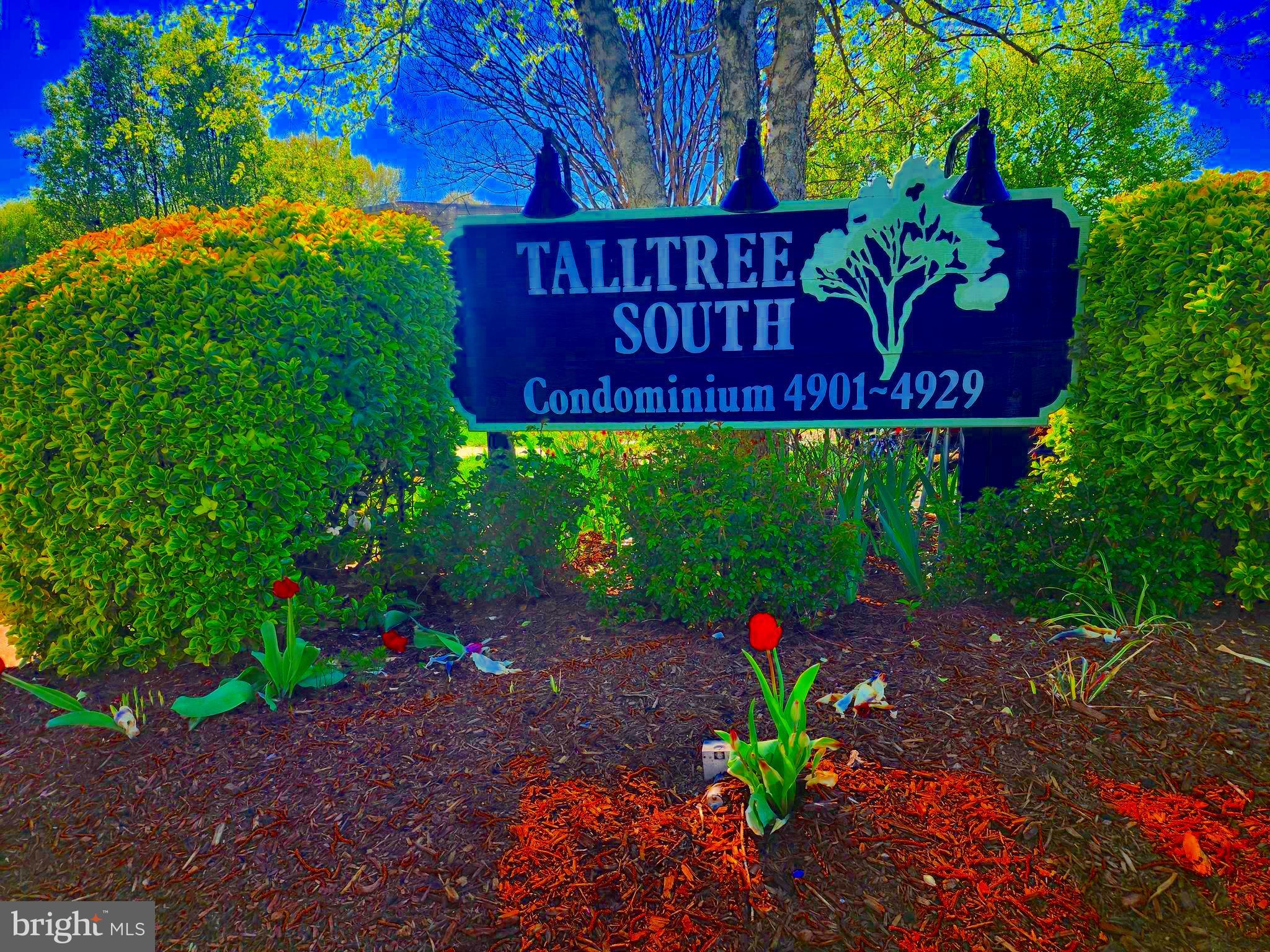 4903 AMERICANA DRIVE T7