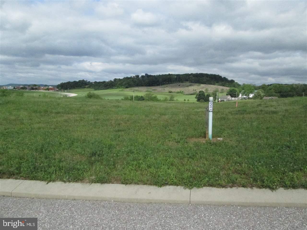 ROTH'S FARM VILLAGE - Residential
