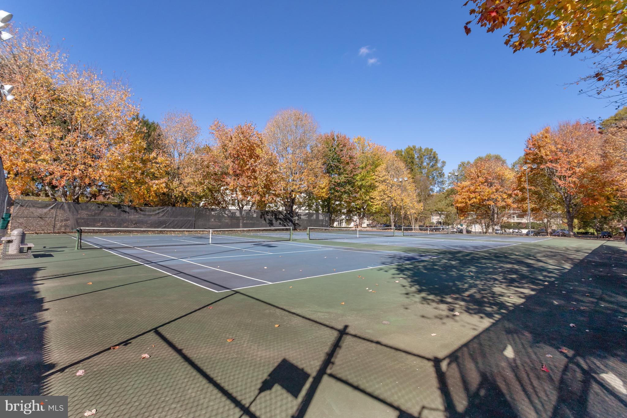 CARDINAL FOREST - Residential