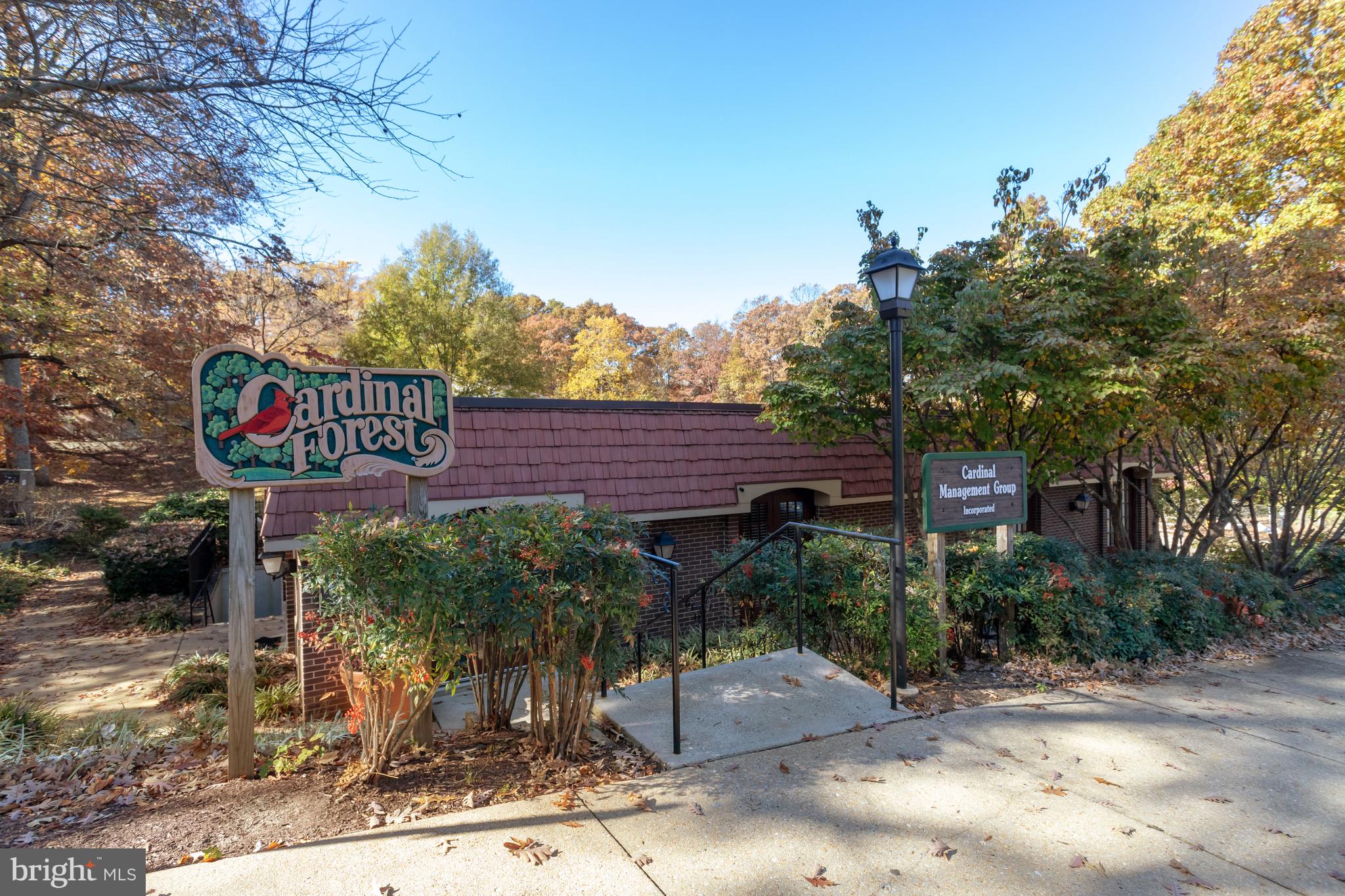 CARDINAL FOREST - Residential