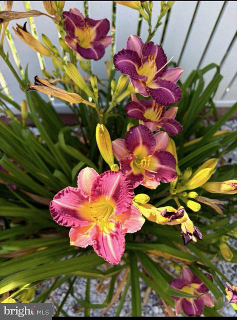 KENWOOD - Residential