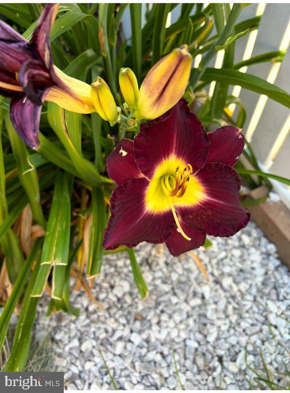 KENWOOD - Residential