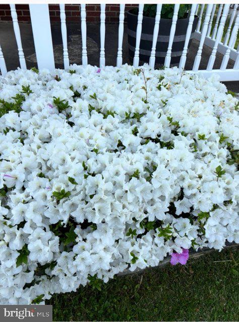 KENWOOD - Residential