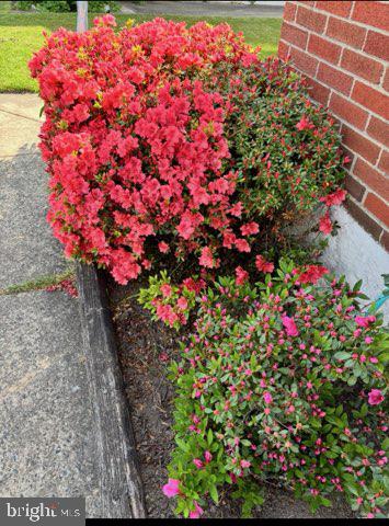 KENWOOD - Residential