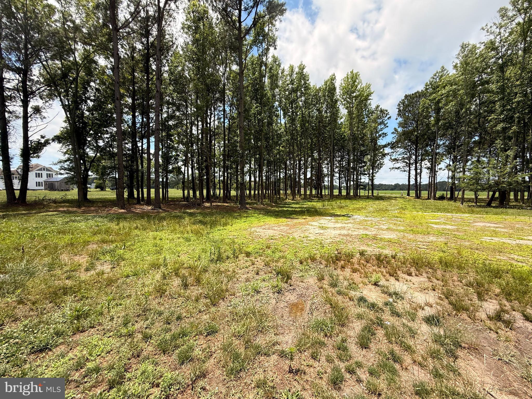 4981 TULLS CORNER RD