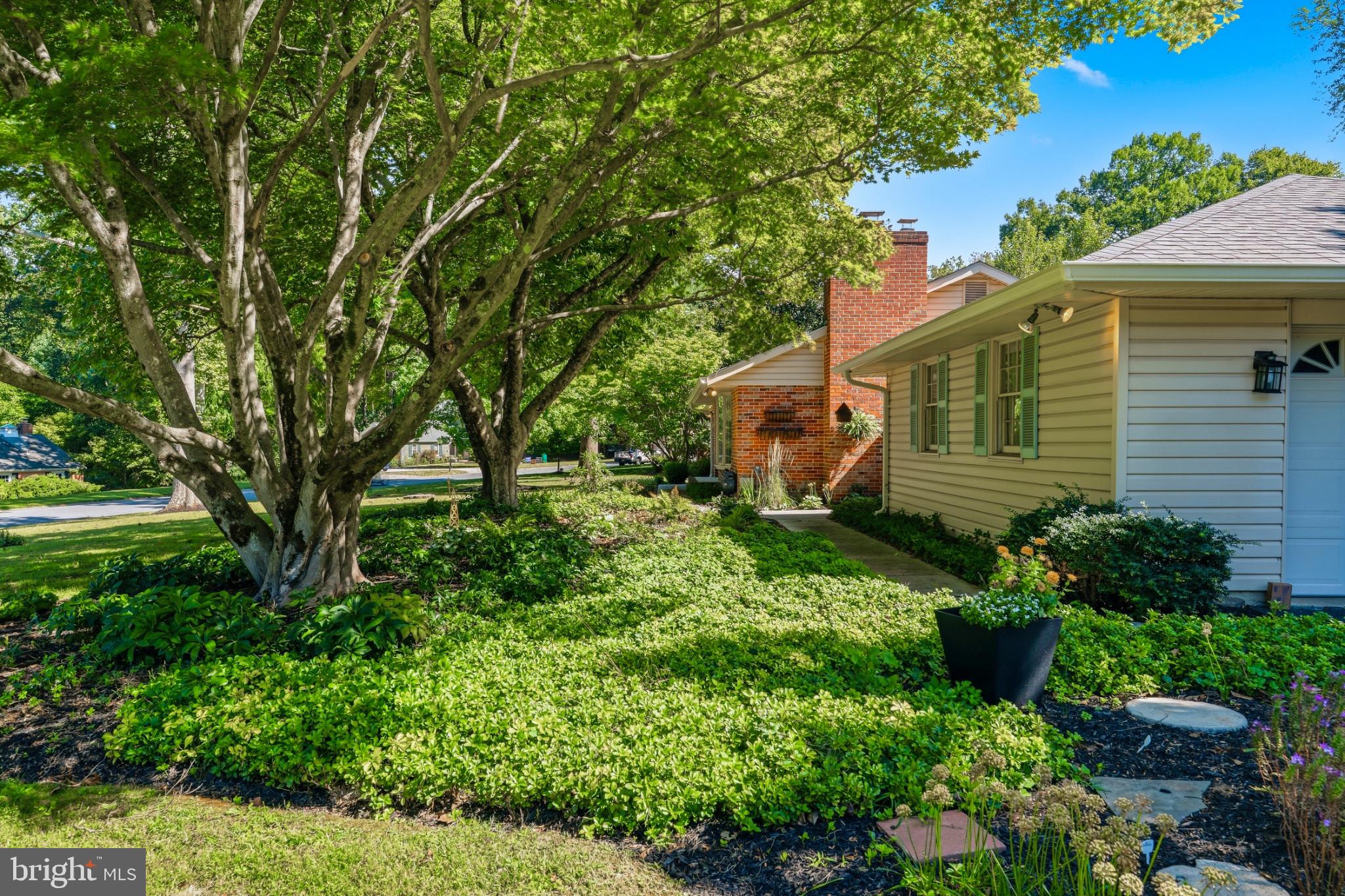 4301 CONIFER COURT
