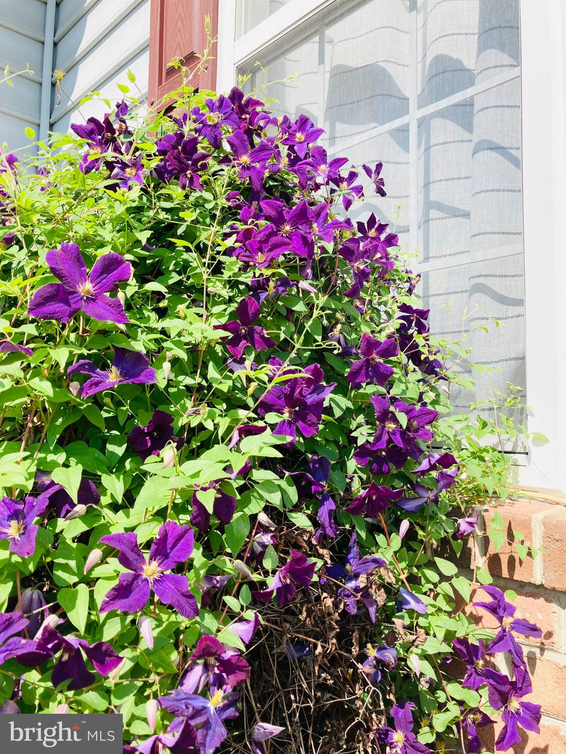 HAWTHORNE GREENE - Residential