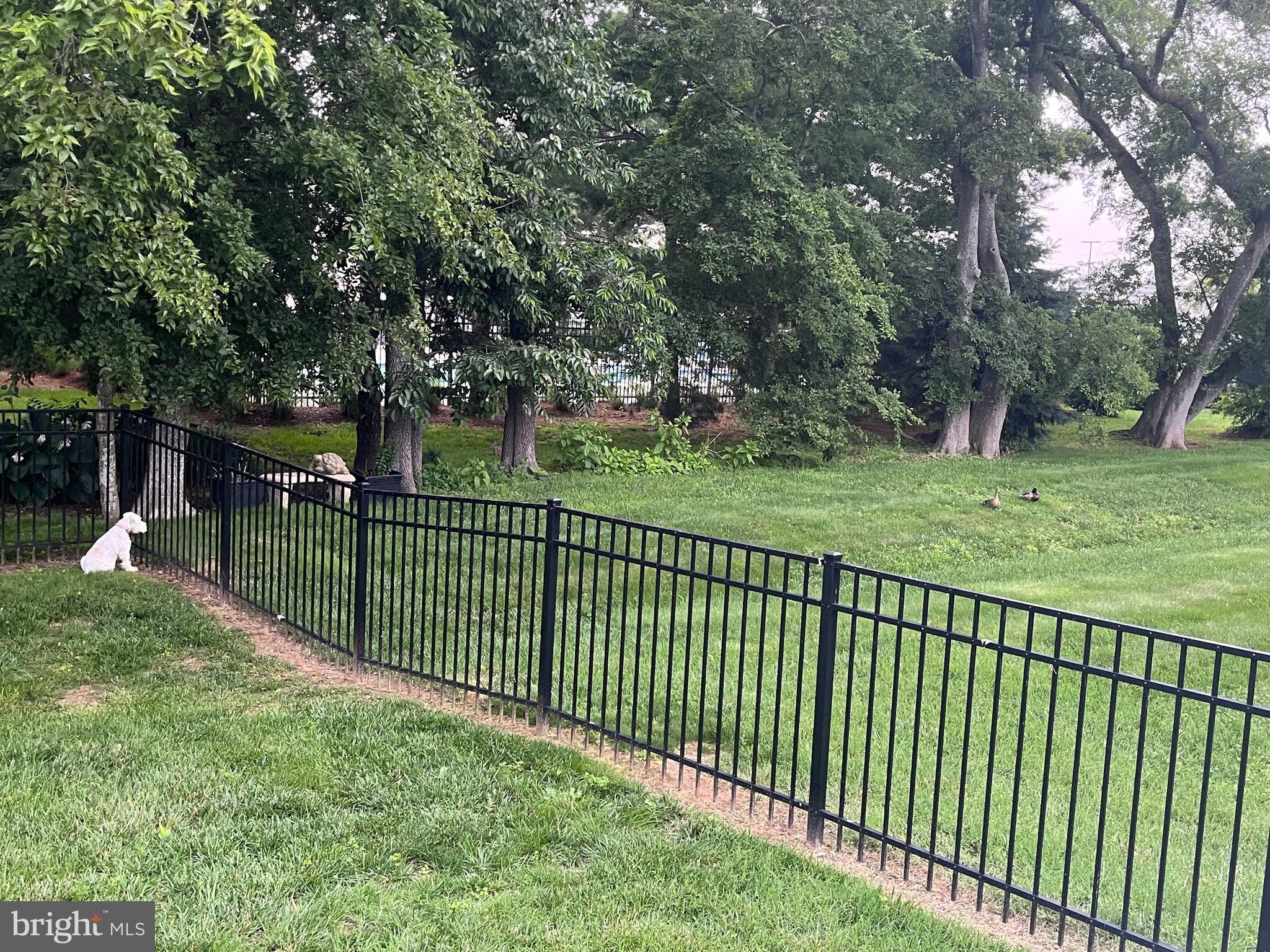 MAPLEWOOD - Residential