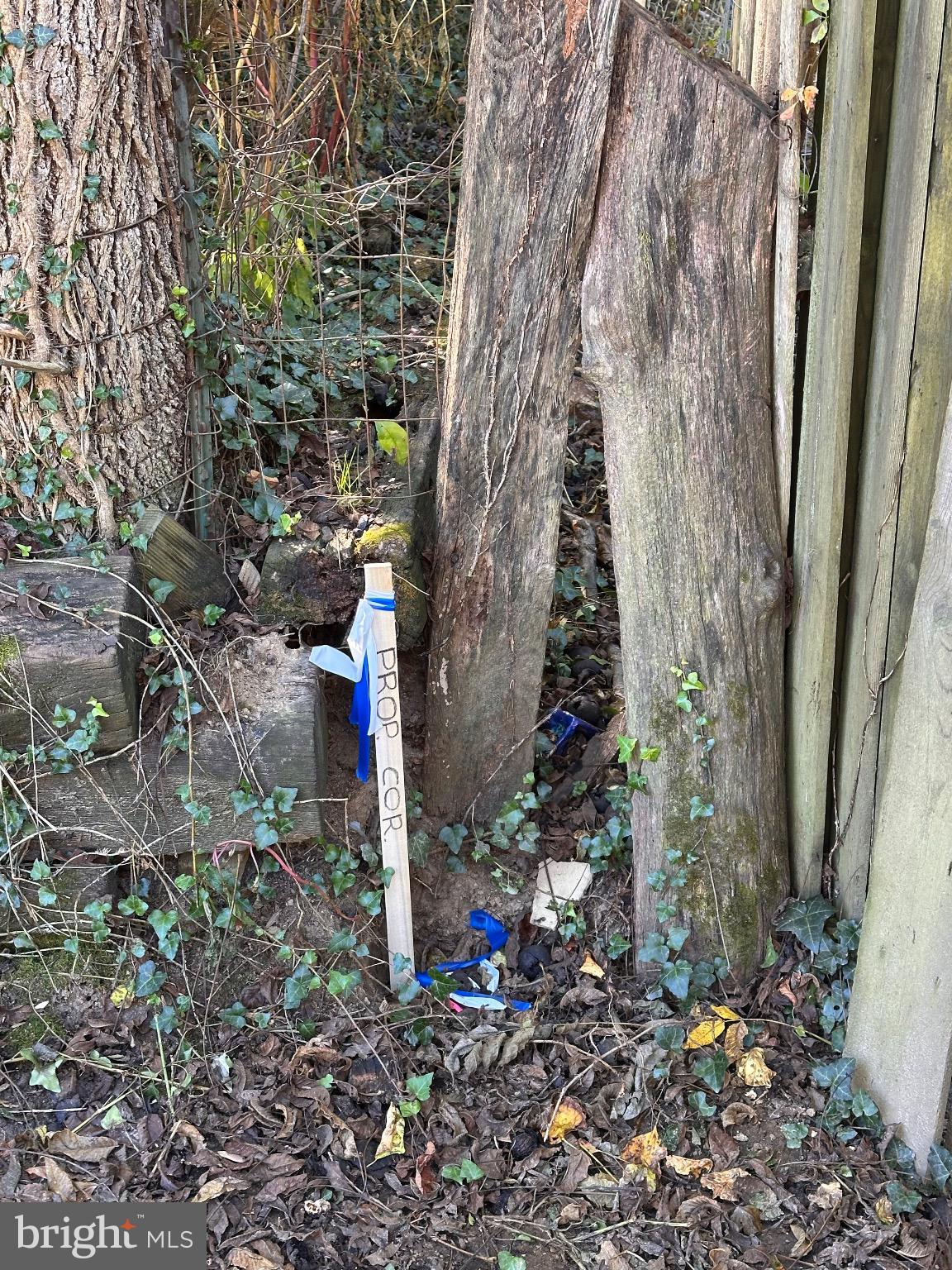 CAVES VALLEY - Residential