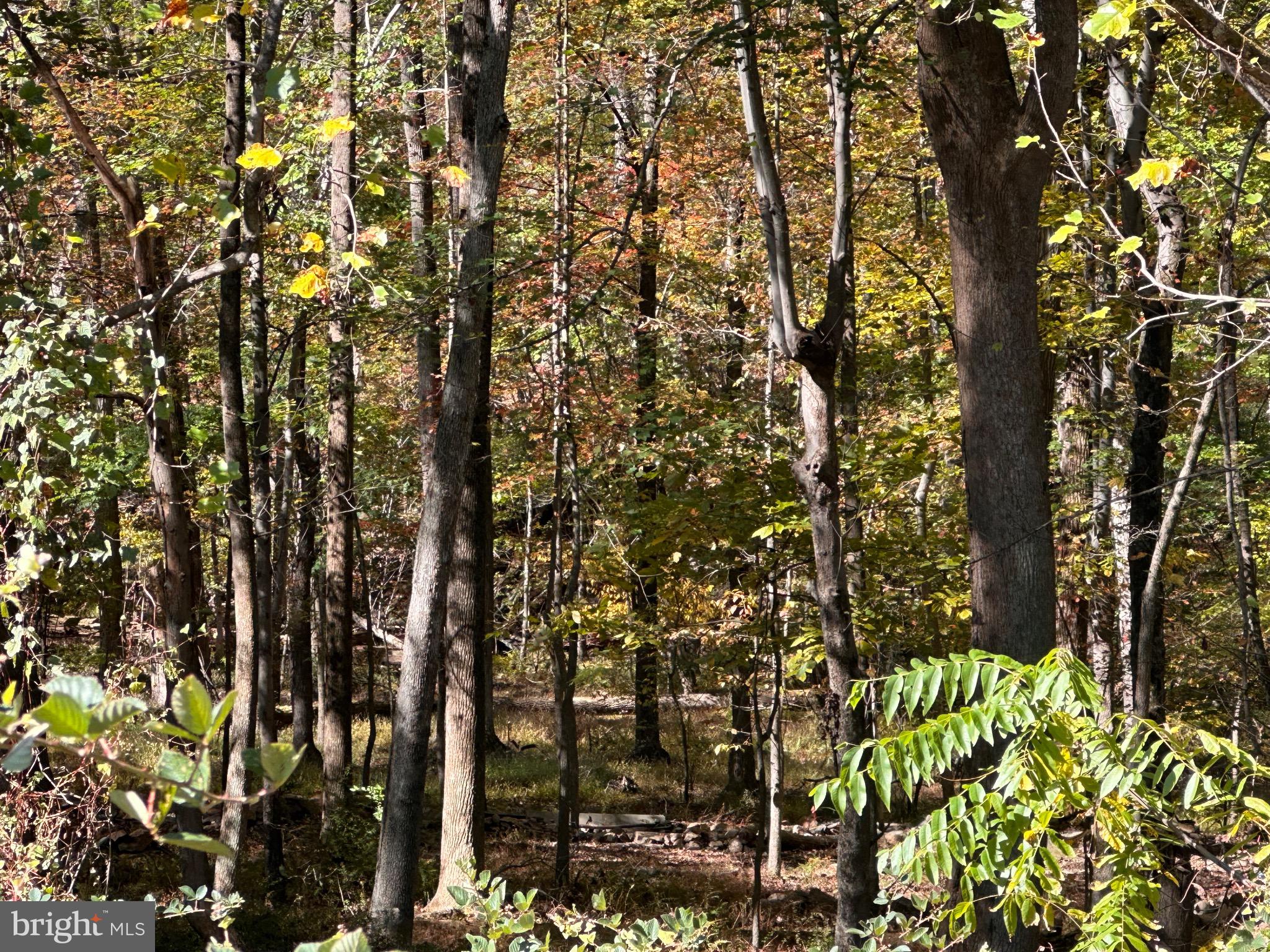 CAVES VALLEY - Residential