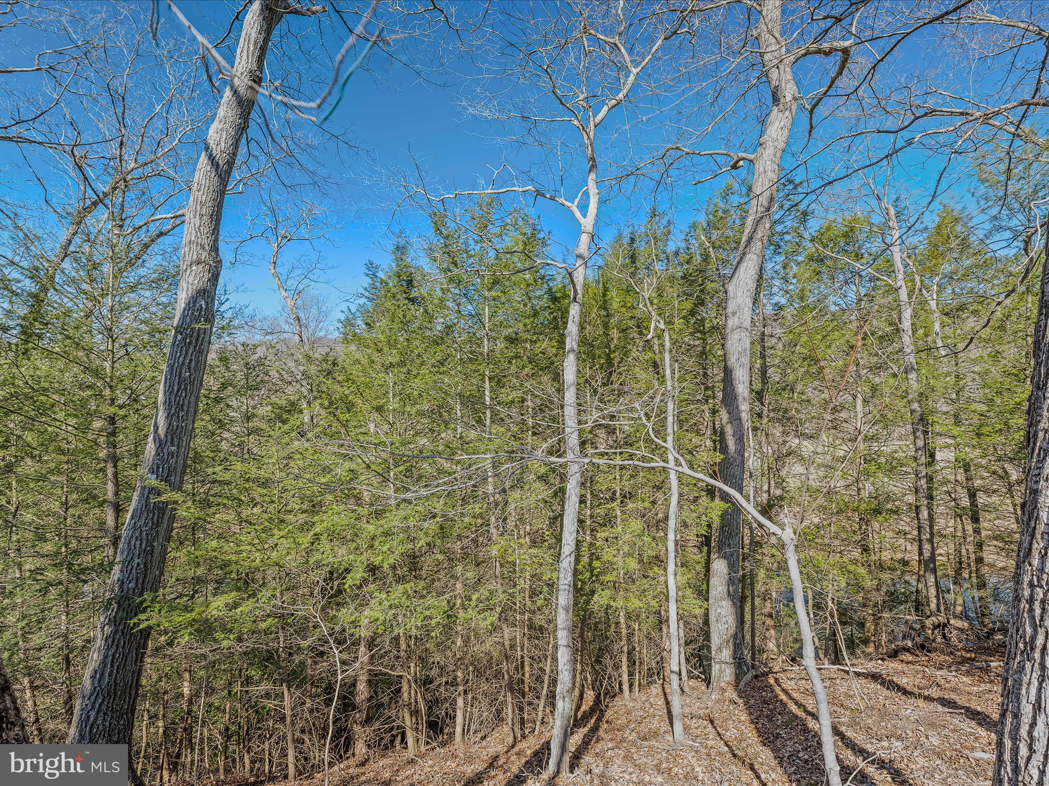 SLEEPY CREEK ORCHARD - Land
