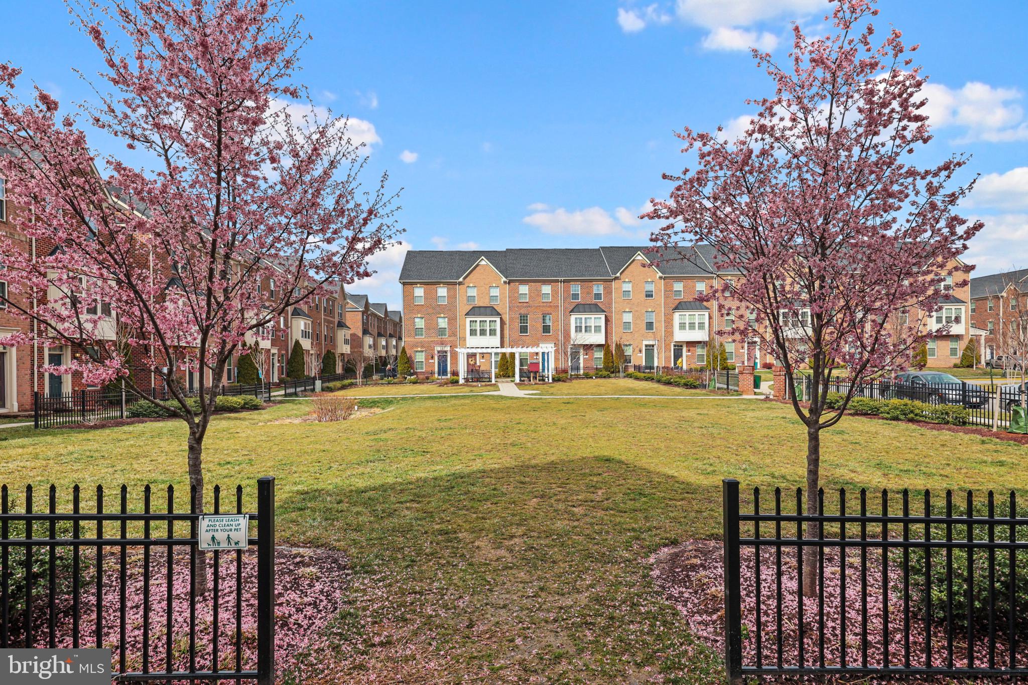 O'DONNELL SQUARE - Residential