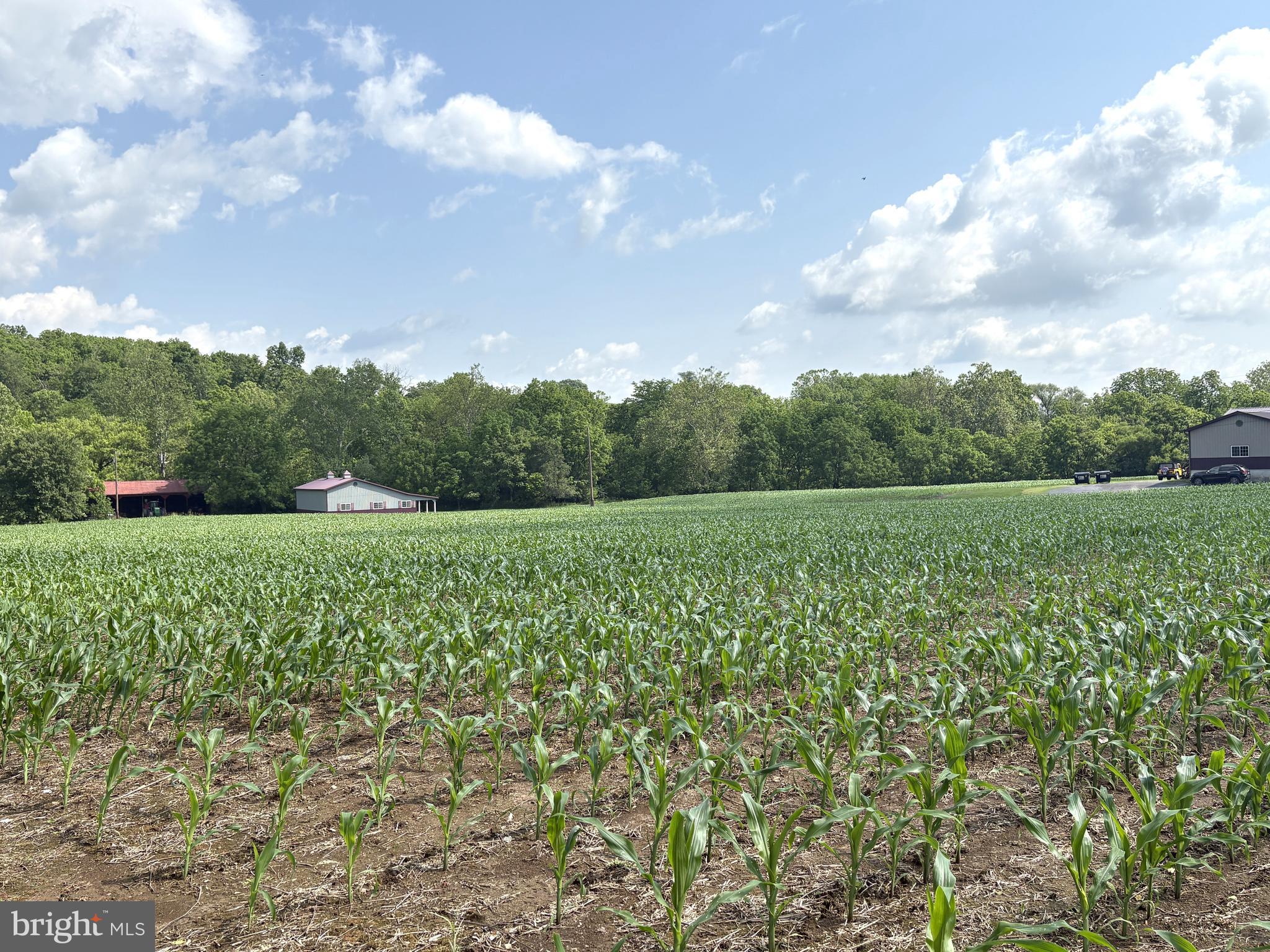 7260 CHILCOTE HOLLOW ROAD