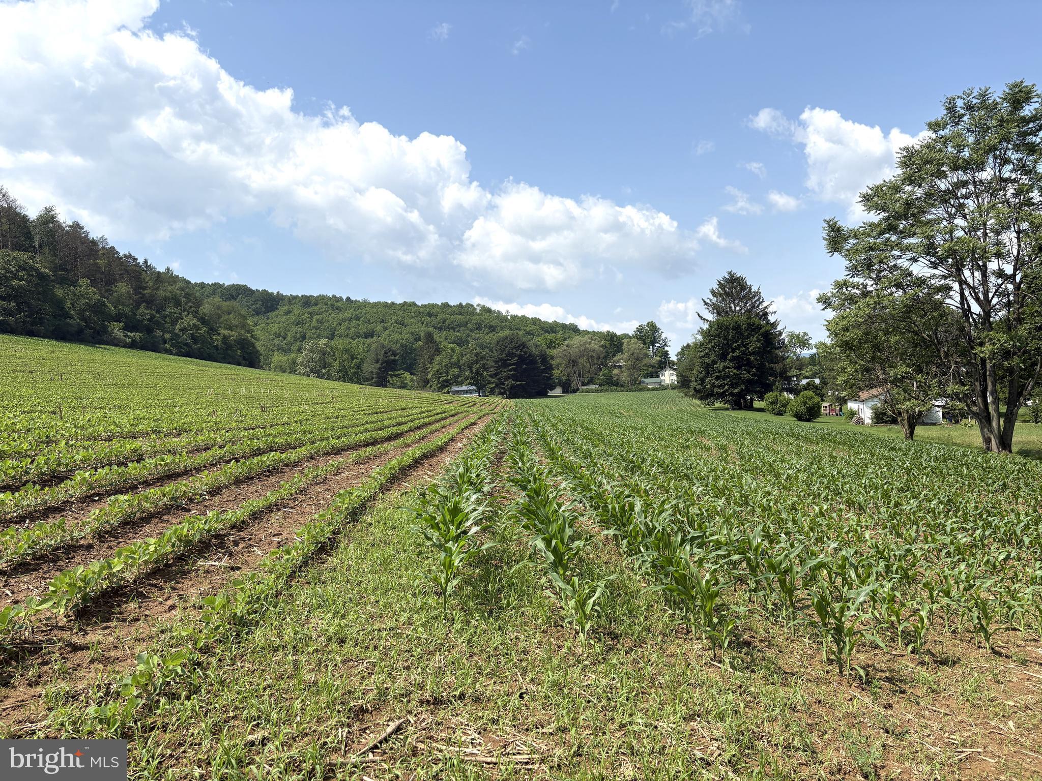 7260 CHILCOTE HOLLOW ROAD