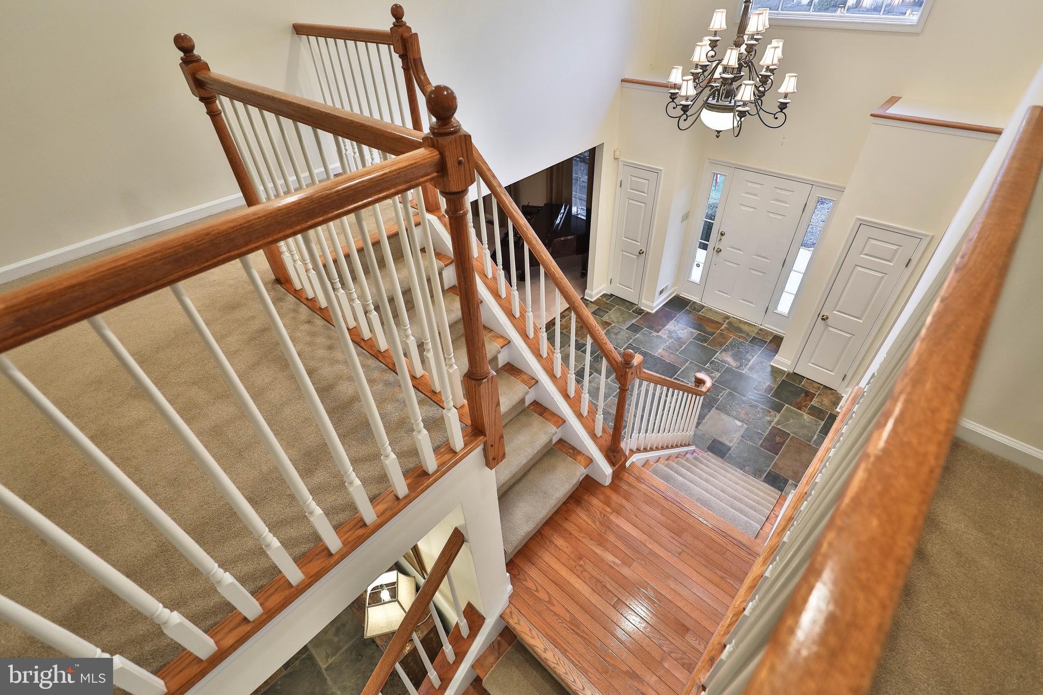 WOODED POND - Residential