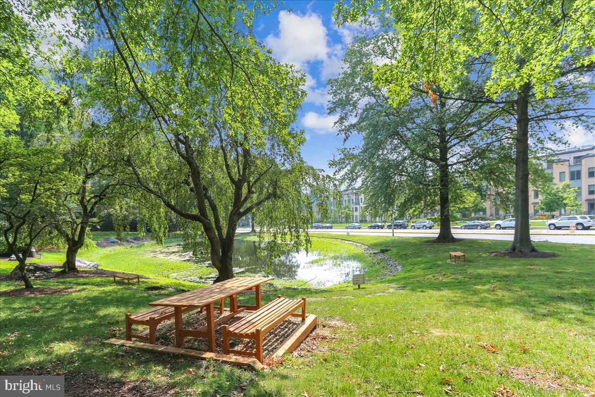 MONTGOMERY ROW - Residential