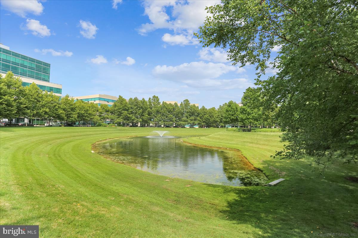 MONTGOMERY ROW - Residential