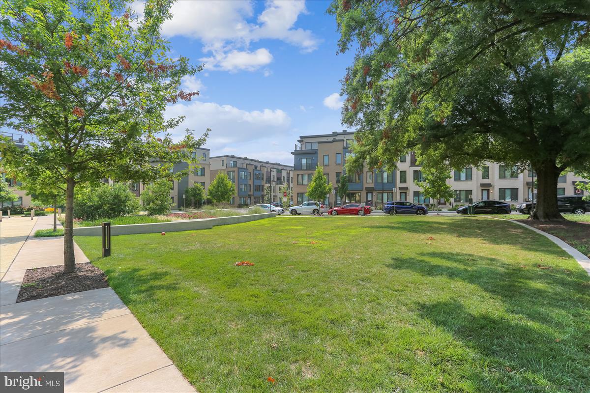 MONTGOMERY ROW - Residential