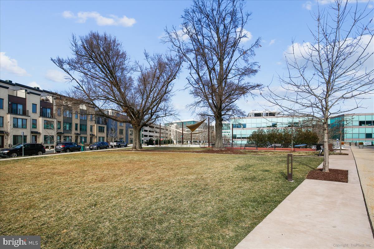 MONTGOMERY ROW - Residential