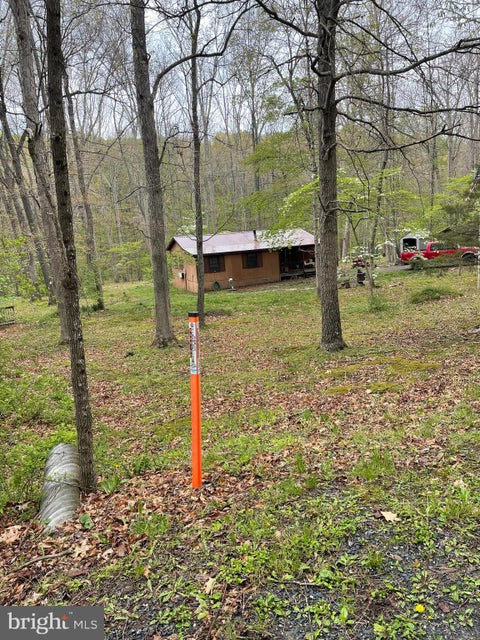 Homes For Sale - 462 Trout Stream Road<br/> Hardy County, LOST CITY, WV 26810