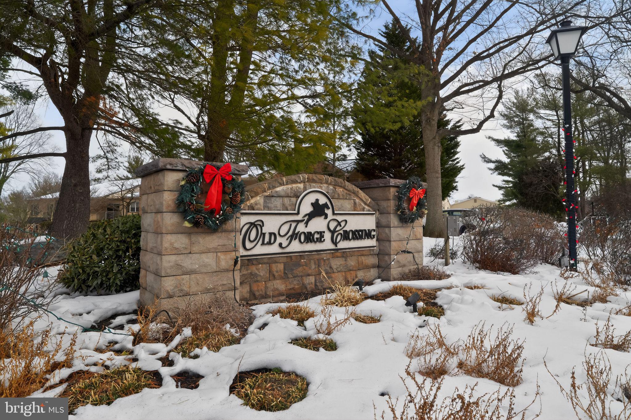 OLD FORGE CROSSING - Residential