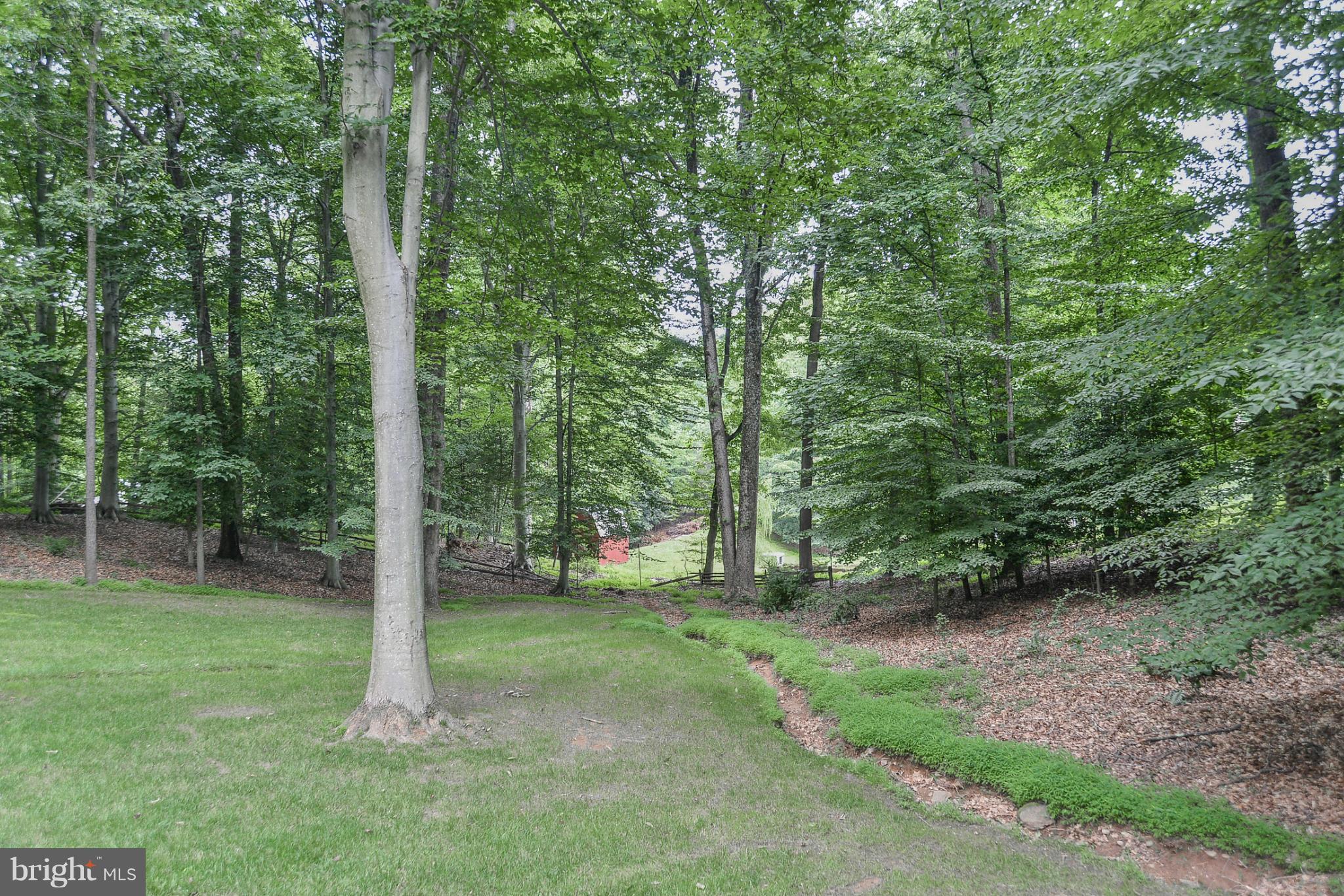 MORISON ESTATE - Residential