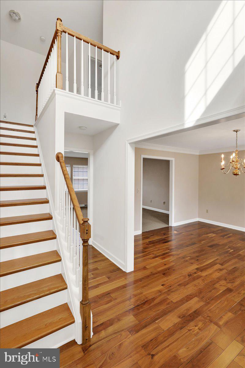 WOODS EDGE - Residential