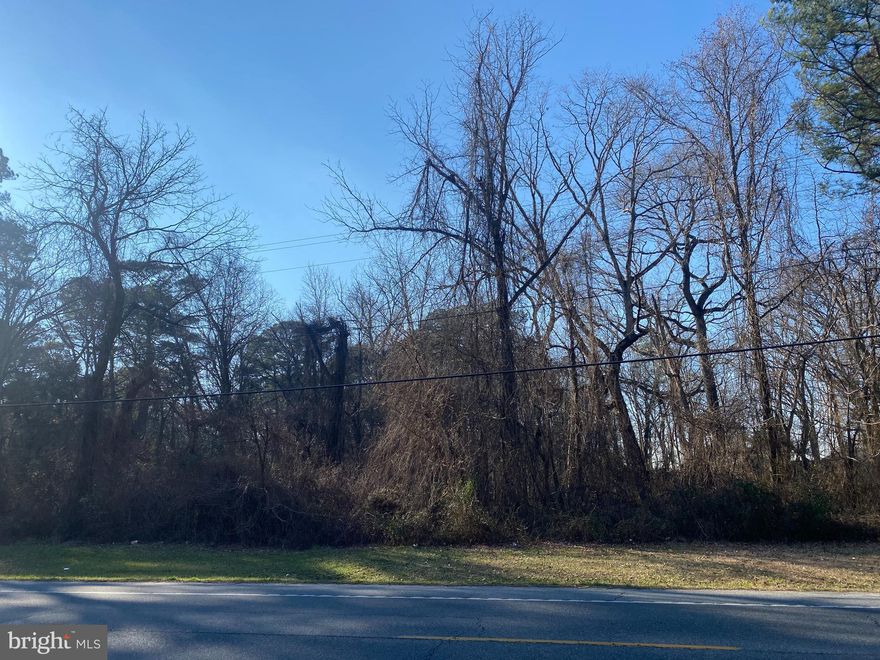 Parcel 67 (5 acres) and Parcel 68 (1.546 acres) are being sold together for a total of 6.546 acres. Rare opportunity to own six and a half acres in Delmar, MD! Survey on file.