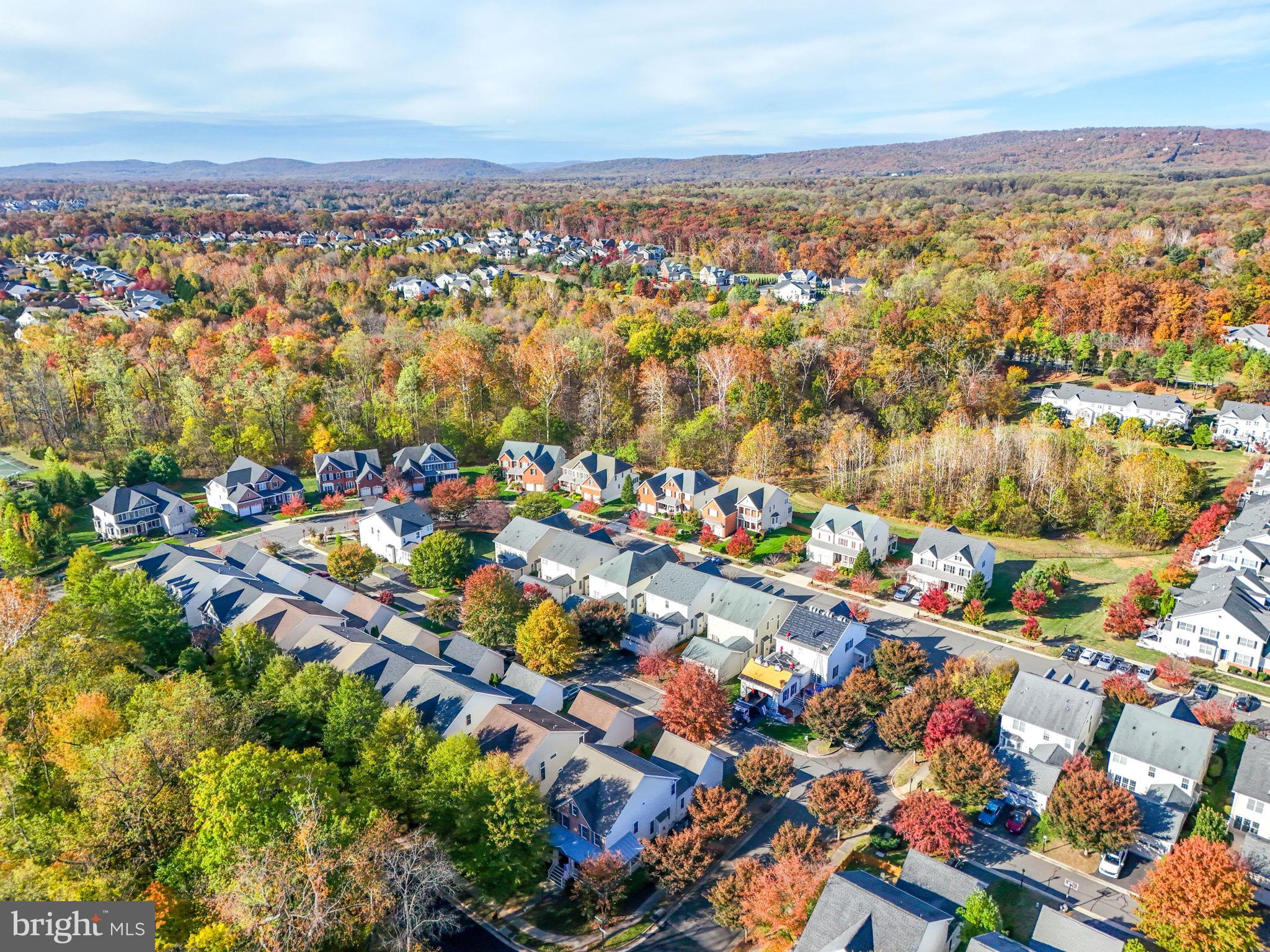 DOMINION VALLEY COUNTRY CLUB - Residential