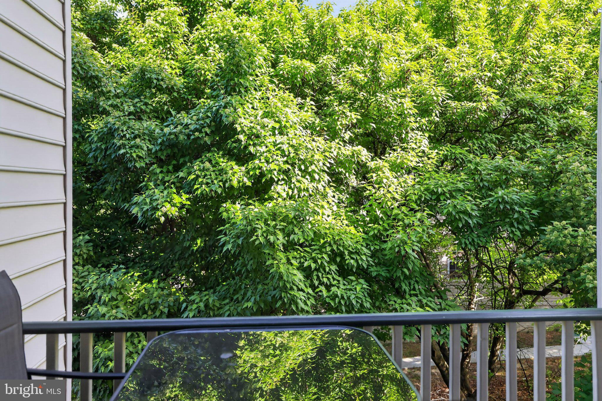 BRINKLEY OVERLOOK - Residential