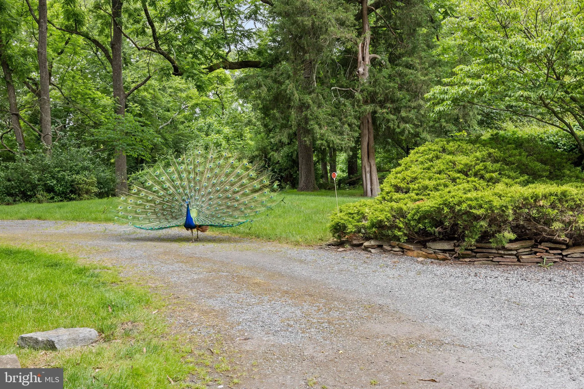 Gibbsboro, New Jersey 08026, United States, 4 Bedrooms Bedrooms, ,2 BathroomsBathrooms,Residential,Pending,56109