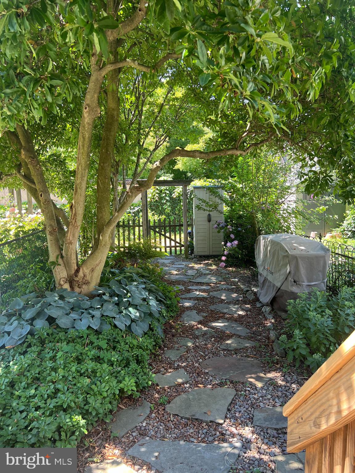 CHESTNUT HILL - Residential Lease