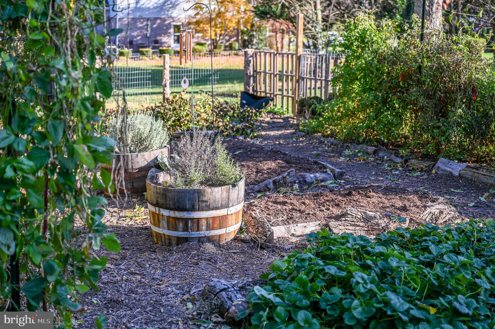 OLD MILL COURT - Residential