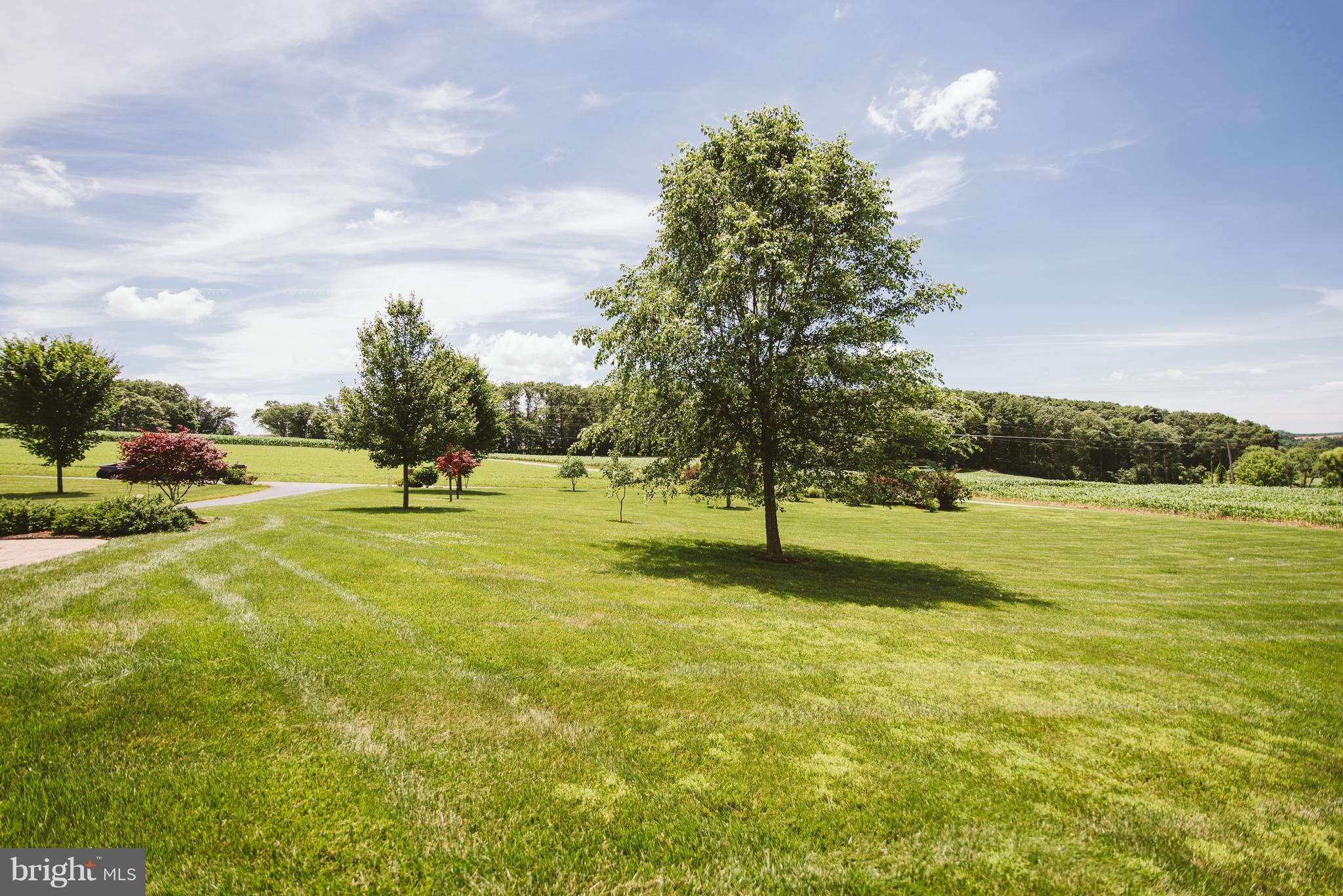 FREELAND - Residential