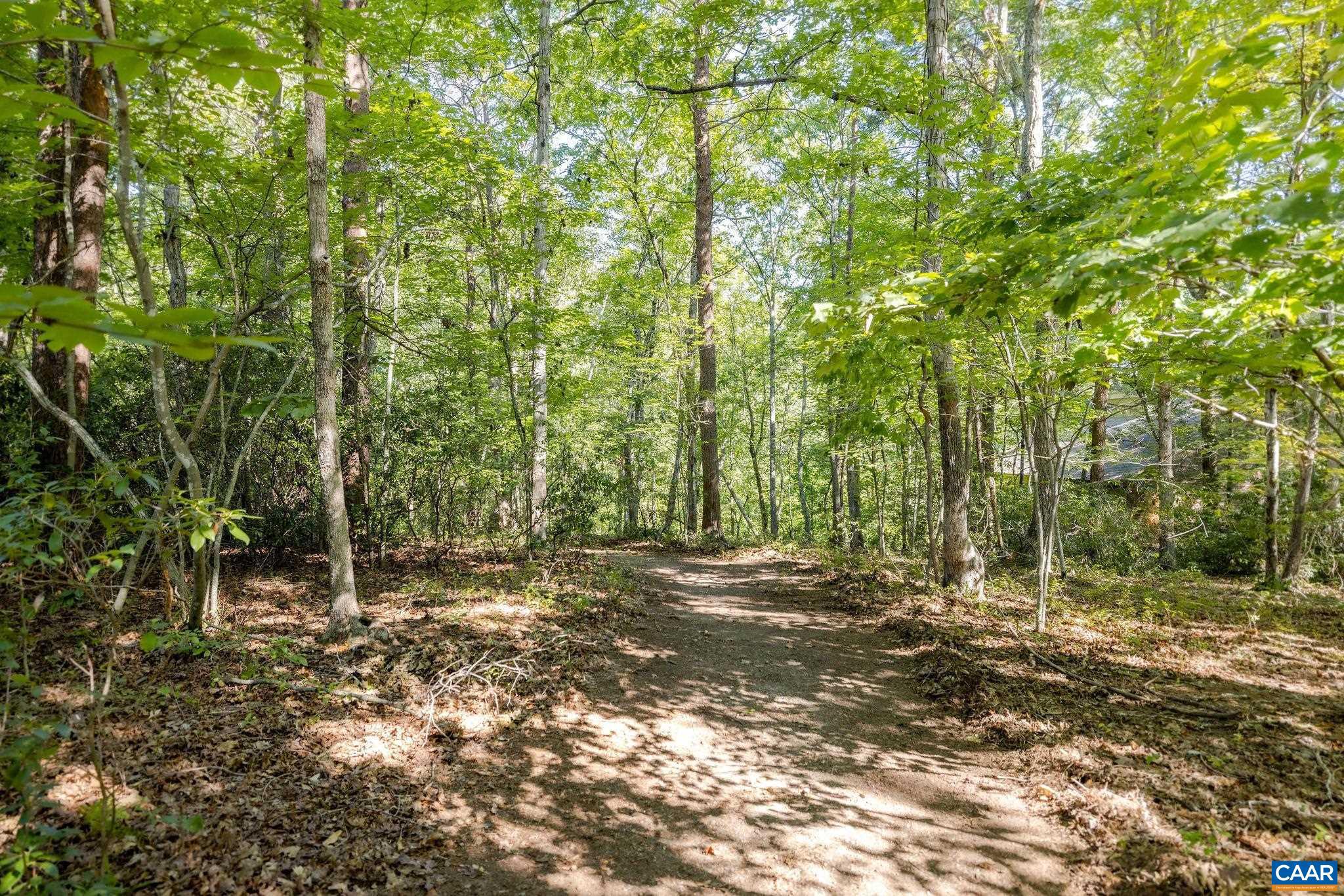 LAKE MONTICELLO - Land
