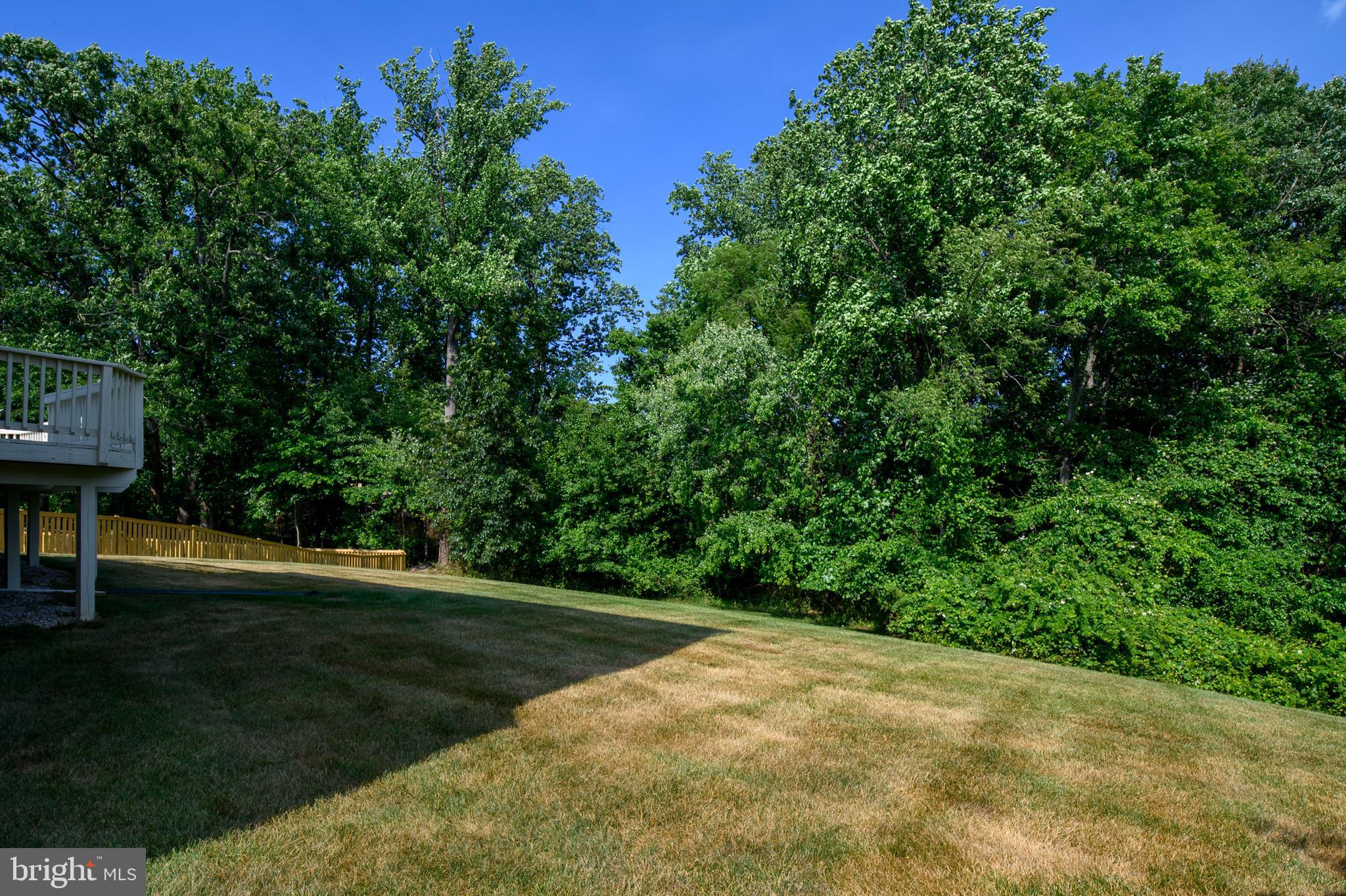 MONTGOMERY MEADOWS - Residential