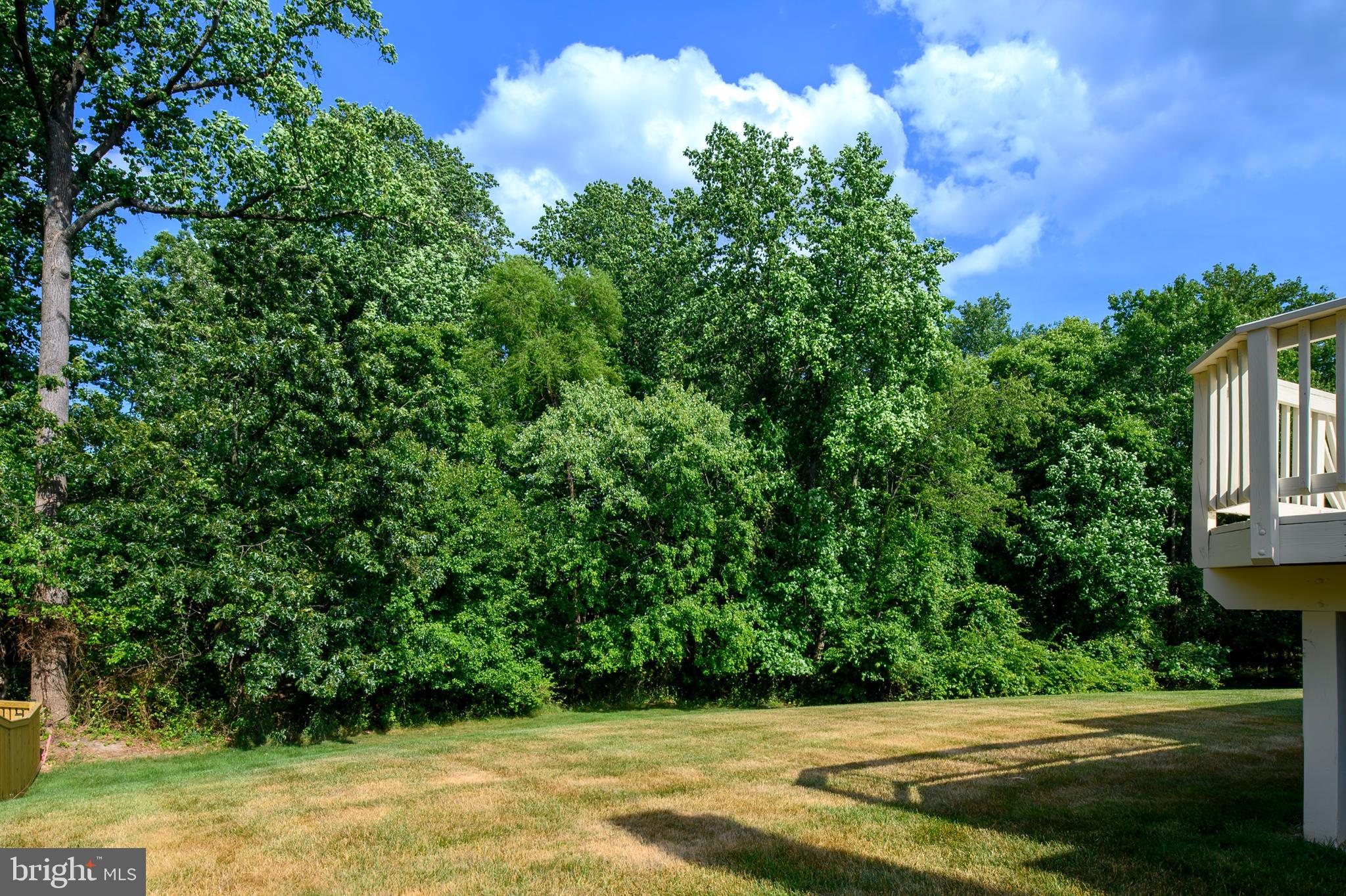 MONTGOMERY MEADOWS - Residential