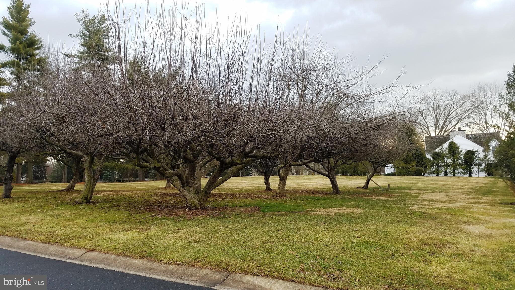 MONDAMIN PLACE - Land